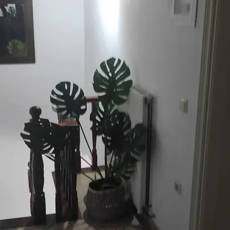 Imerolia House カシオピ